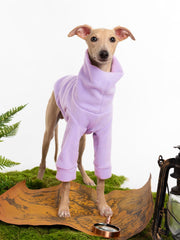 Haloumoning puppy sweater fabric closeup highlighting breathable warmth