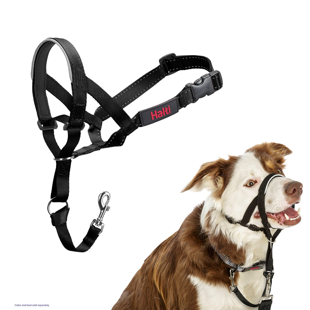 Halti Headcollar noseband-padding for comfortable no-pull walks