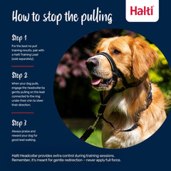 Halti Headcollar training-leash-duo setup supports no-pull training