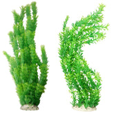 Hamiledyi aquarium plants with bright green leaves for a vibrant maintenance-free tank focal point.