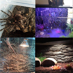 Hamiledyi cork terrarium background 4pc setup demonstrates versatile backdrop and display options.