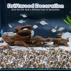 Hamiledyi driftwood close-up reveals natural textures enhancing aquarium aesthetics.