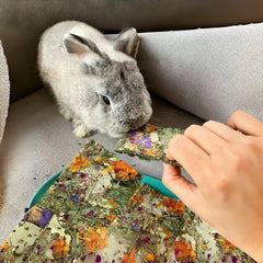 Herbal floral scent from Hamiledyi hay chips appealing to small pets