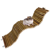 Hamiledyi rat bendy-bridges-wood image shows curved wooden bridge for exploration and exercise.