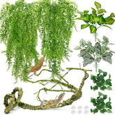 Hamiledyi reptile plants large leaf vines for terrarium decor and enrichment
