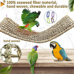 Hamiledyi seagrass mat cleaning easy shows simple dust removal and scrubbing.