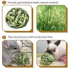 Hamiledyi small animal activity ball helps relieve boredom with natural nibbling.
