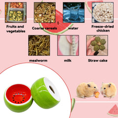 Hamiledyi small-pet bowl close-up ceramic durability and chew-resistance.
