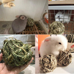 Hamiledyi Timothy grass ball rolled by a small pet, encouraging active play.