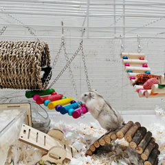Hamiledyi wooden swing adds interactive play inside the cage.