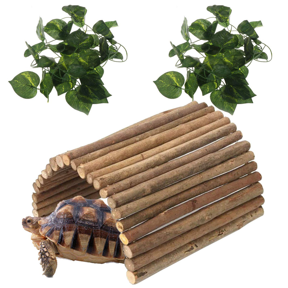Hamiledyi XL wooden reptile hideout front view with natural habitat aesthetic
