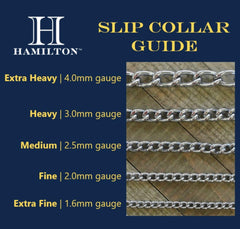 Hamilton metal slip-link collar on dog posing illustrates comfortable fit during training.