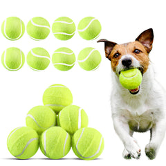 Hanaive 20-piece dog tennis balls yellow pack designed for safe fetch play.