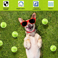 Hanaive dog fetch toy action shot promotes indoor and outdoor play.