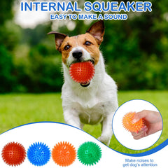 Hanaive inside-squeaker detail showing hidden squeaker for durability and play