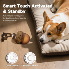 Hanarook Acron interactive dog ball in action indoors with a playful dog.