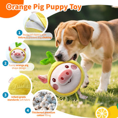Hanarook squeaky dog toy bounce captures attention and encourages playful chasing.