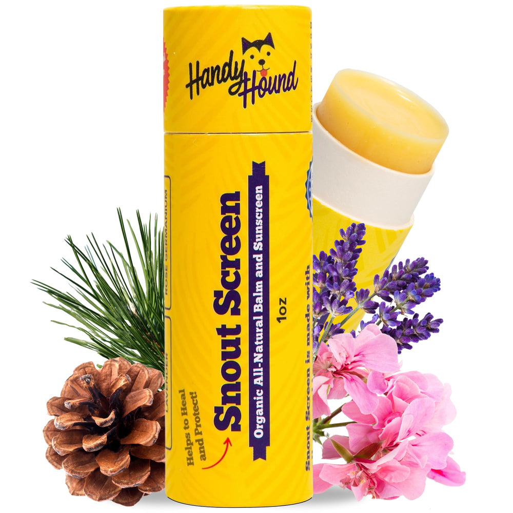Handy Hound SnoutScreen nose balm tube ready for on-the-go protection.