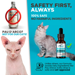 Handy Hound turmeric bilberry support image illustrating allergen neutralizing and respiratory comfort