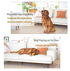 Hanipuppy durable natural rubber shell shown for long-lasting chew sessions.