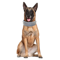 Haoyueer dog collar side view shows dazzling diamonds and secure fit.