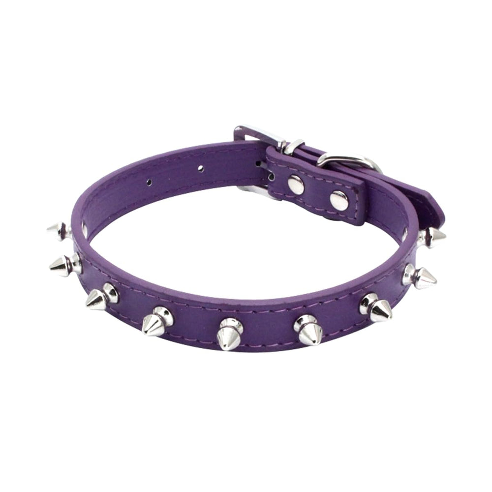 haoyueer spiked dog collar on small dog for stylish protection and comfort
