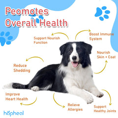 hapheal joint-mobility image with an active dog suggests omega-3 support.