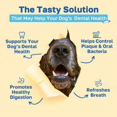Happy Paws Dental Soft Chew texture closeup—soft chews promote easy daily use and palatability.