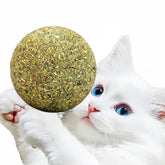 Happylain catnip ball 2inch diameter closeup for enrichment and scent