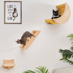 HAPYKITYS cat moon bed wall shelf elevates cats for surveying their kingdom