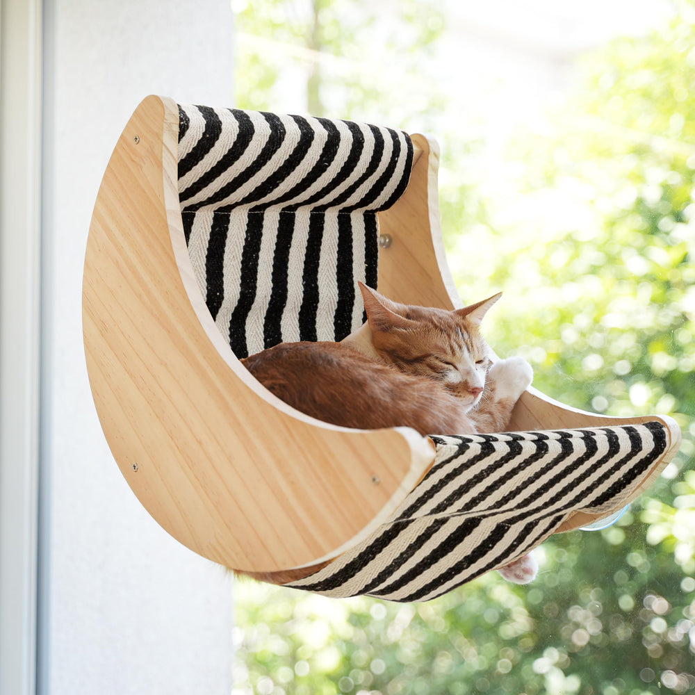 HAPYKITYS Moon shelf assembly shows sturdy mounting for safe indoor lounging.