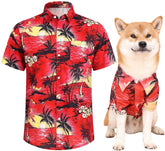 Harbyel dog shirt Hawaii pattern worn during stylish park walks.
