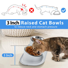Harhana Ant Away anti-ant moat guarding bowls from crawling pests.