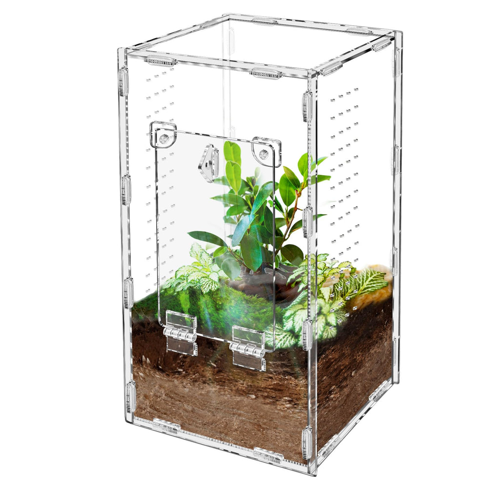 Harhana Jumping Spider Enclosure assembled shows spacious 6x6x12 habitat for thriving spiders