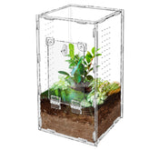 Harhana Jumping Spider Enclosure assembled shows spacious 6x6x12 habitat for thriving spiders