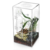 Harhana Jumping Spider Enclosure front view showing secure tarantula habitat