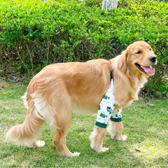 Harikaji elbow sleeve with adjustable buckle for a secure fit on large dogs.