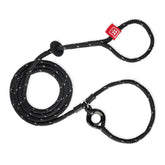 Harness Lead escape-proof harness on dog for secure, comfortable walks.