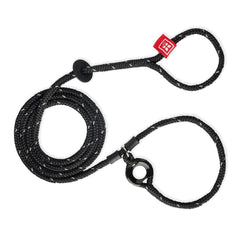 Harness Lead escape-proof harness on dog for secure, comfortable walks.