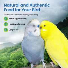 Harrison's birds enjoy this mash illustrating palatability for multiple small species.