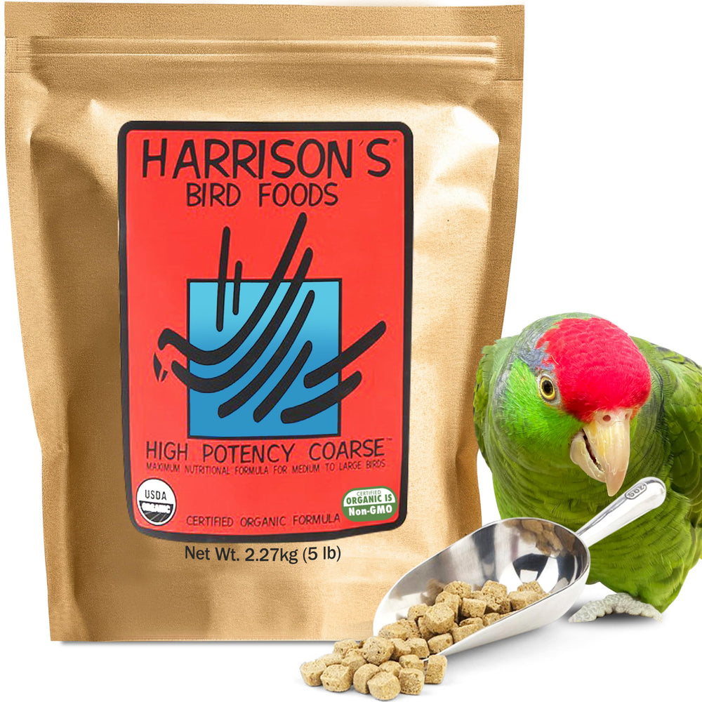 Harrison's High Potency Coarse bag shows a nutrient-dense daily base for parrots.