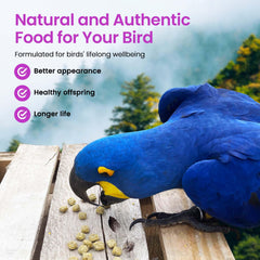 Harrisons Red Palm Fruit Oil bottle emphasizes natural nourishment for plumage.