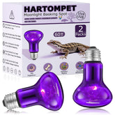 HARTOMPET 60W reptile night light moonlight glow supports calm nocturnal activity.