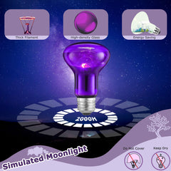 HARTOMPET 60W reptile night light UV A heat lamp provides gentle warmth for basking.