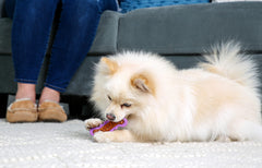Hartz Chew'n Clean Dental Duo with bacon center provides tasty dental stimulation.