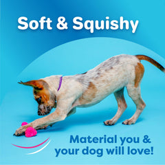Hartz DuraPlay disc squeaky toy with bacon scent enhances indoor fetch sessions.