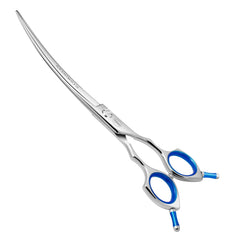 HASHIMOTO dog grooming scissors curved blade close-up for precise trimming.