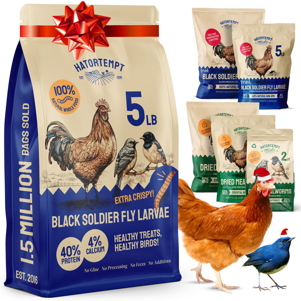 Hatortempt Black Soldier Fly Larvae bag front highlights a protein-rich poultry snack.