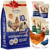 Hatortempt bsf larvae bag open; protein-packed poultry treat for laying hens.