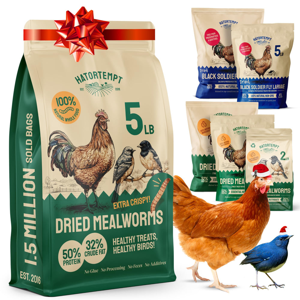 Hatortempt Dried Mealworms in a sealed bag provide crisp texture and protein for wild birds